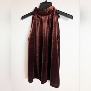 Small Petite Brown Velvet Sleeves Ann Talyor